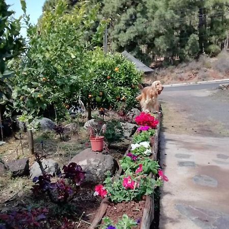 شقة Puntagorda  في Casa Fagundo المظهر الخارجي الصورة