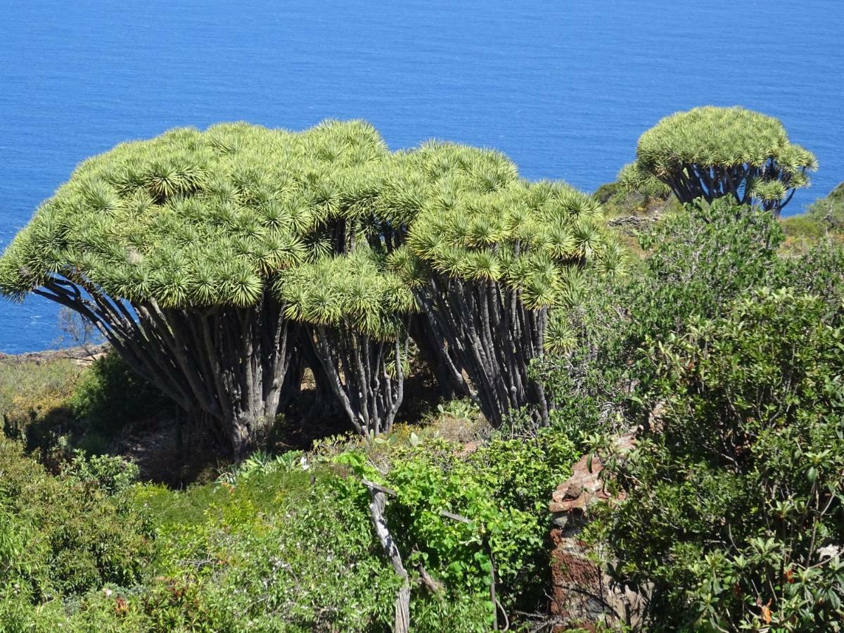 شقة Puntagorda  في Casa Fagundo المظهر الخارجي الصورة